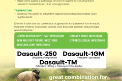 Dasault-1 Gm
