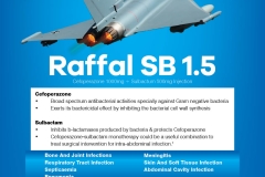 Raffal SB 1.5