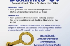 Doximite- CV