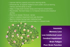 Intelia