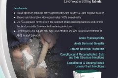 Levoactive -500