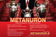Metanuron